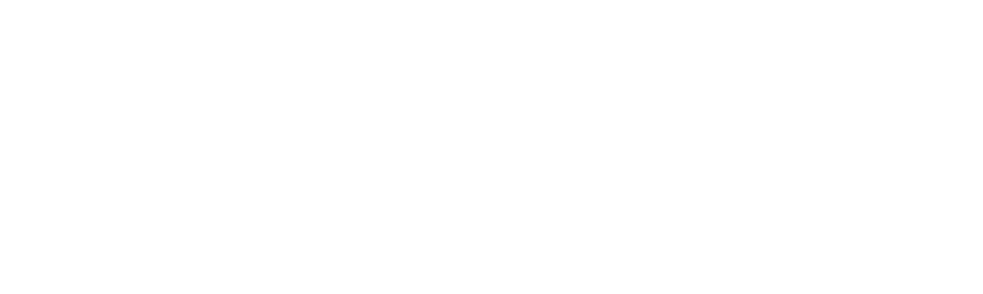 SkyNet Couriers